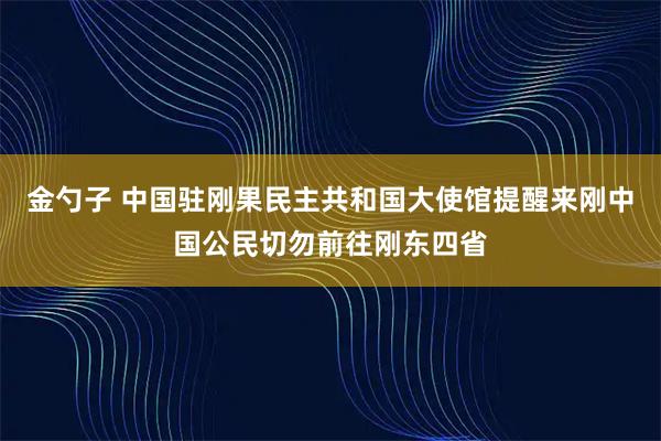 金勺子 中国驻刚果民主共和国大使馆提醒来刚中国公民切勿前往刚东四省