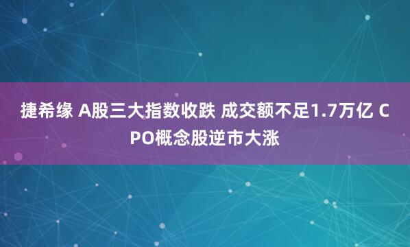 捷希缘 A股三大指数收跌 成交额不足1.7万亿 CPO概念股逆市大涨