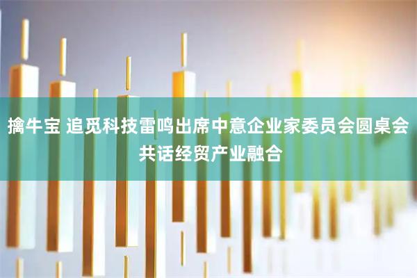擒牛宝 追觅科技雷鸣出席中意企业家委员会圆桌会 共话经贸产业融合