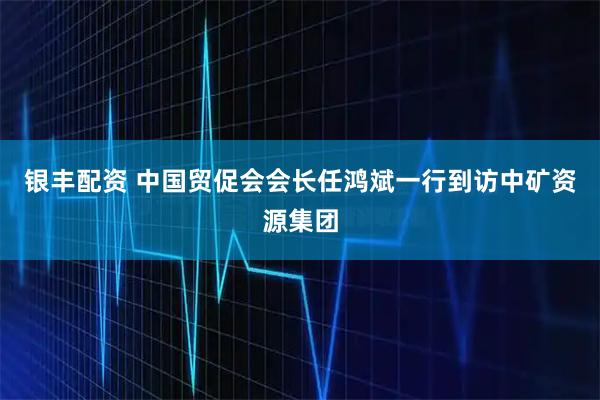 银丰配资 中国贸促会会长任鸿斌一行到访中矿资源集团