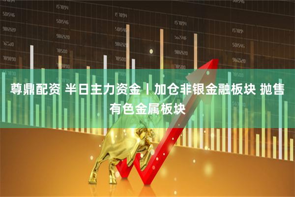 尊鼎配资 半日主力资金丨加仓非银金融板块 抛售有色金属板块